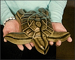 Image of Hanalei Sea Turtle sculpture in black gold glaze, being held by Mary K. Seen from slightly above, and facing out to the viewer.