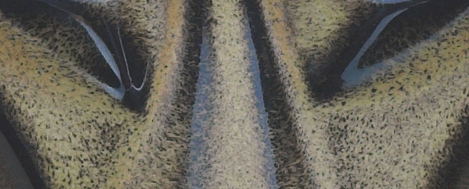 Close-up of baby cat mask in golden black  glaze.
